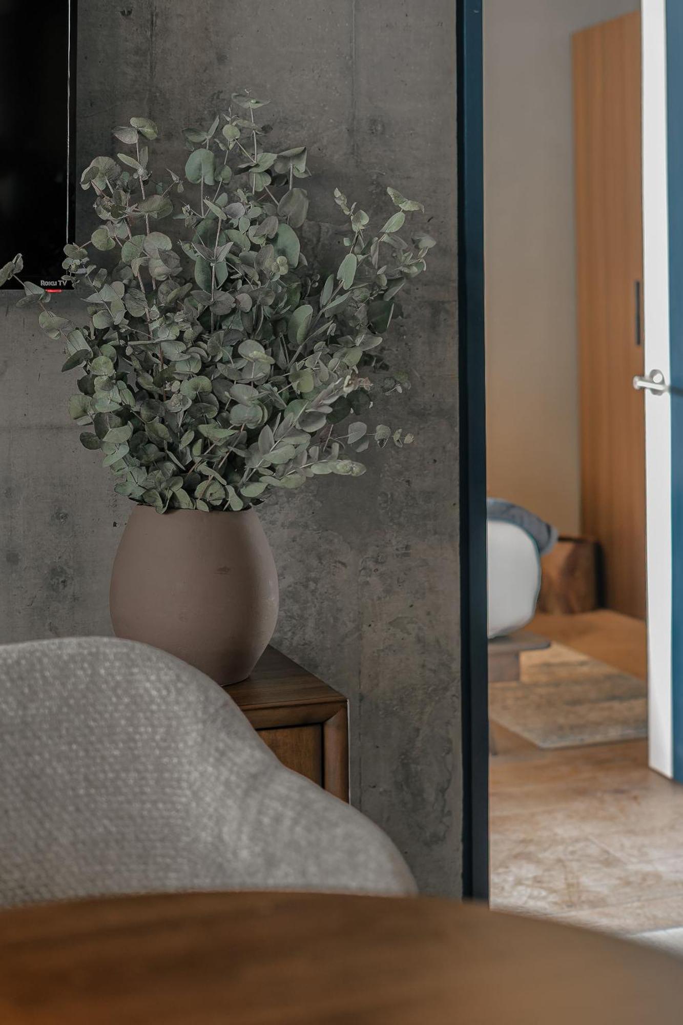 Indigo Veracruz Roma Nte 1b I 1b Apartment Mexico City