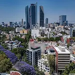 Indigo Veracruz Roma Nte Apt 1B I 1B